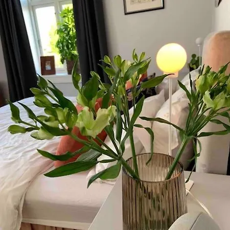 Big 10 Min Walk From Citycenter-swimmingpool וילה